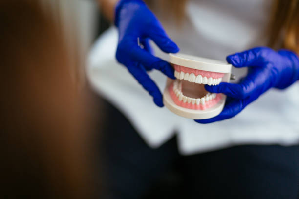 Best Emergency Dental Care  in Crestwood, IL